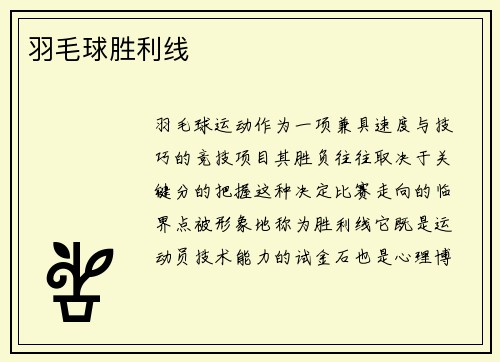 羽毛球胜利线